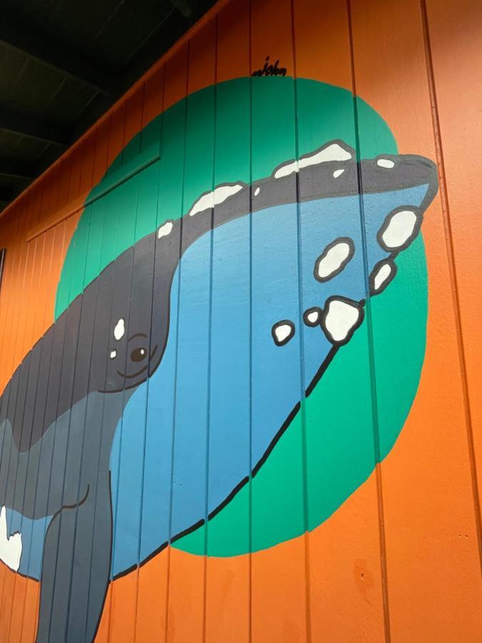 Hostel Antonio Pescador - Centro Da Guarda do Embaú 外观 照片
