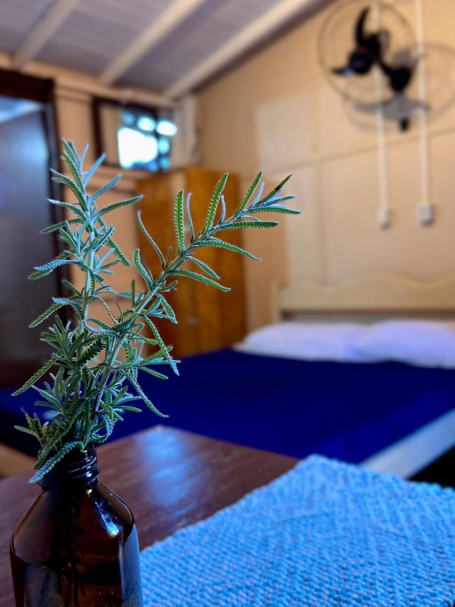 Hostel Antonio Pescador - Centro Da Guarda do Embaú 客房 照片